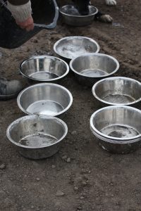 IMG_0376