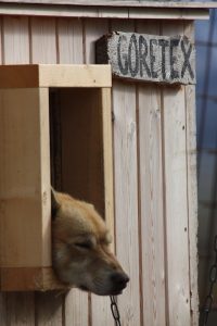 IMG_0415