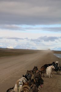 IMG_1101