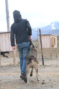 IMG_1126